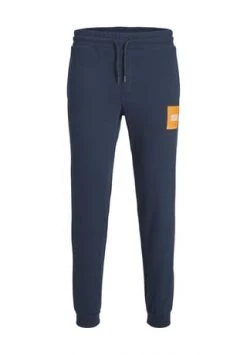 ORIGINALS By JACK & JONES Sweatpants, Kordelzug, Regular-Fit, Für Herren 175917003 SKY CAP